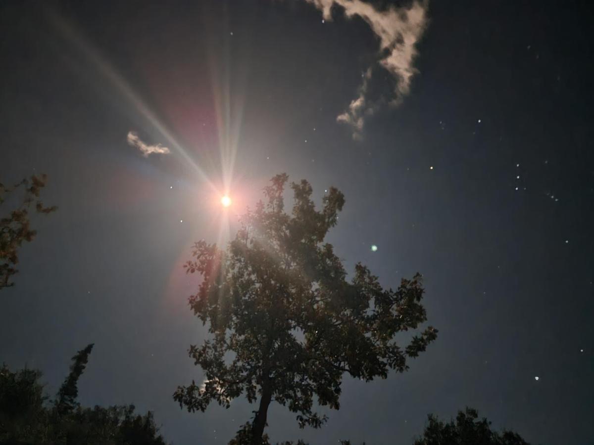 Ionian Pearl Daire Dhërmi Dış mekan fotoğraf